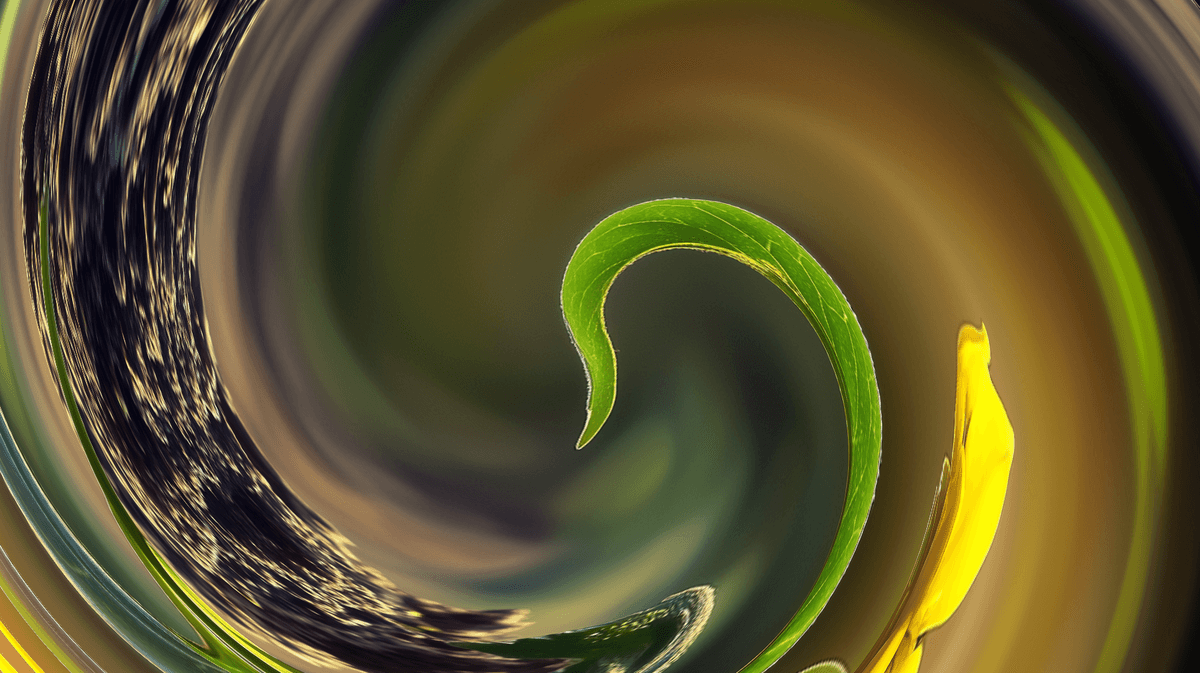 Distortion transition example