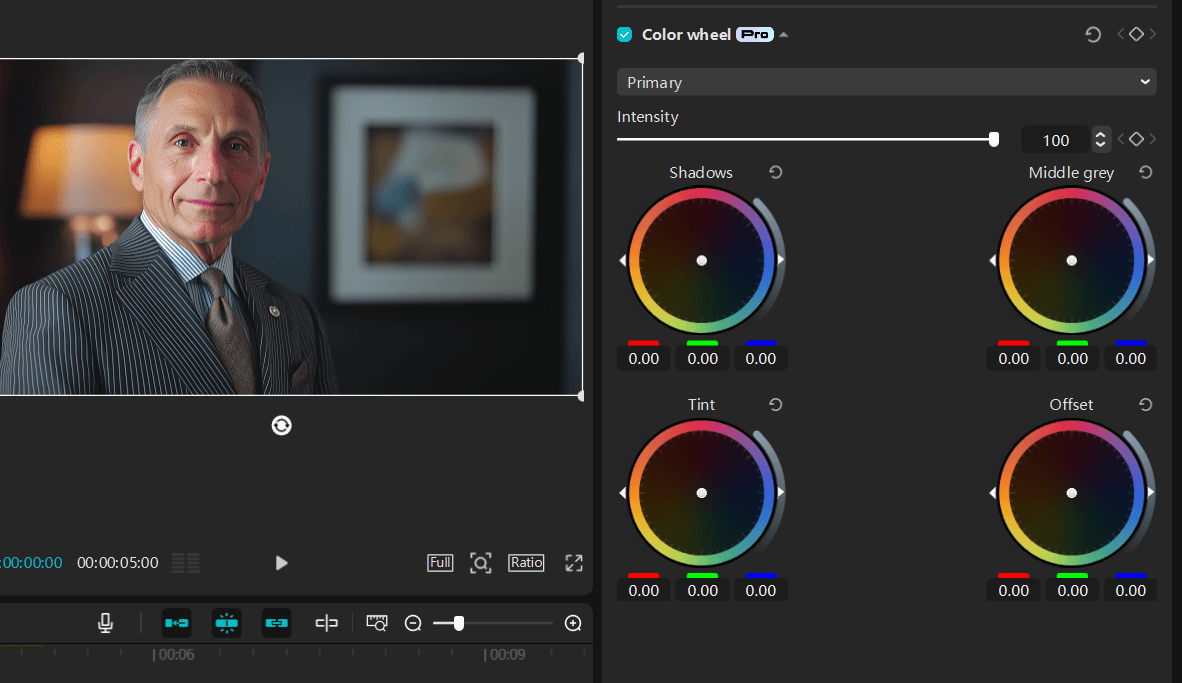 The Color wheel panel in CapCut desktop app