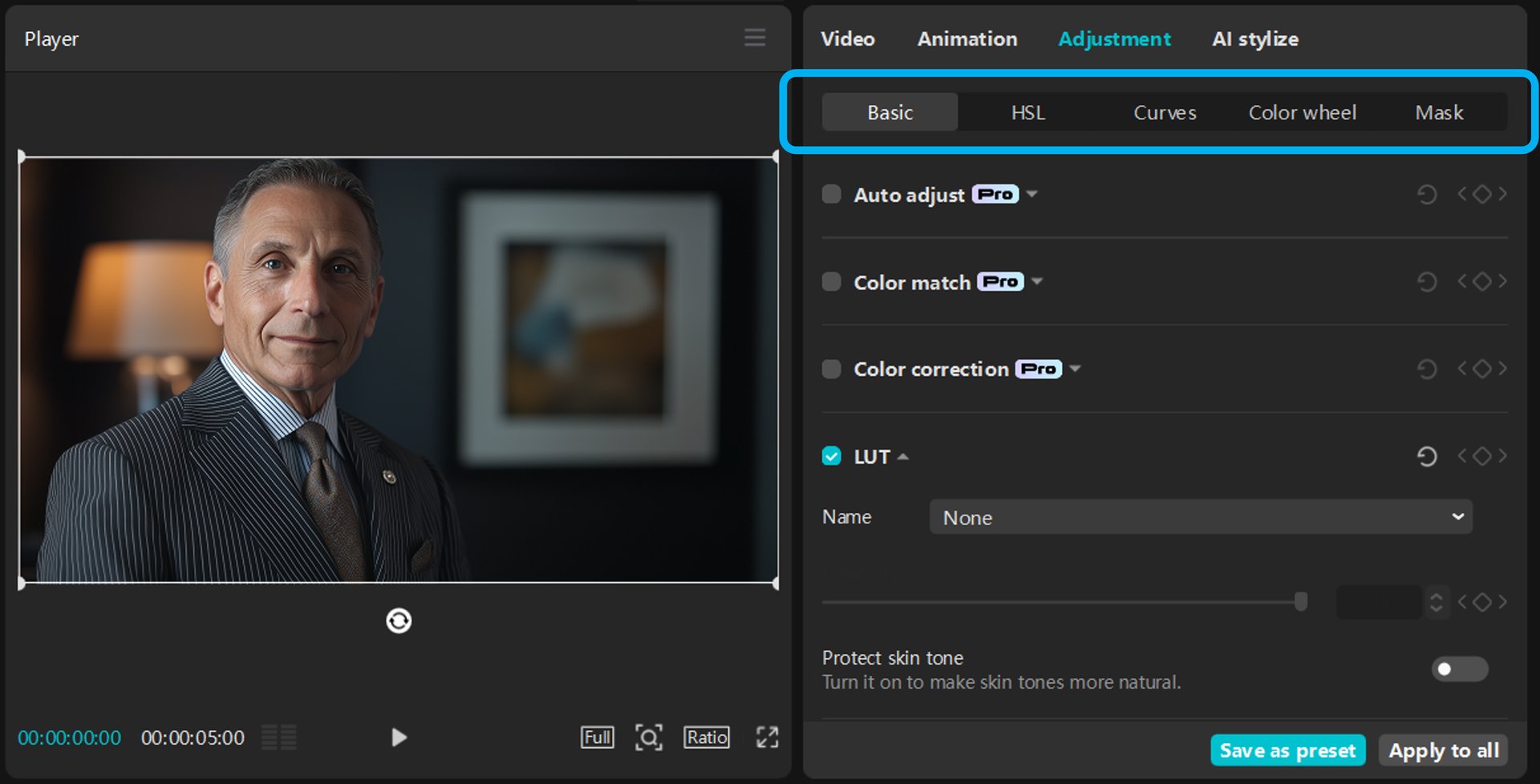 Image shows the location of the 5 main color grading panels for use in CapCut