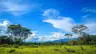 Outdoor midday test scene thumbnail